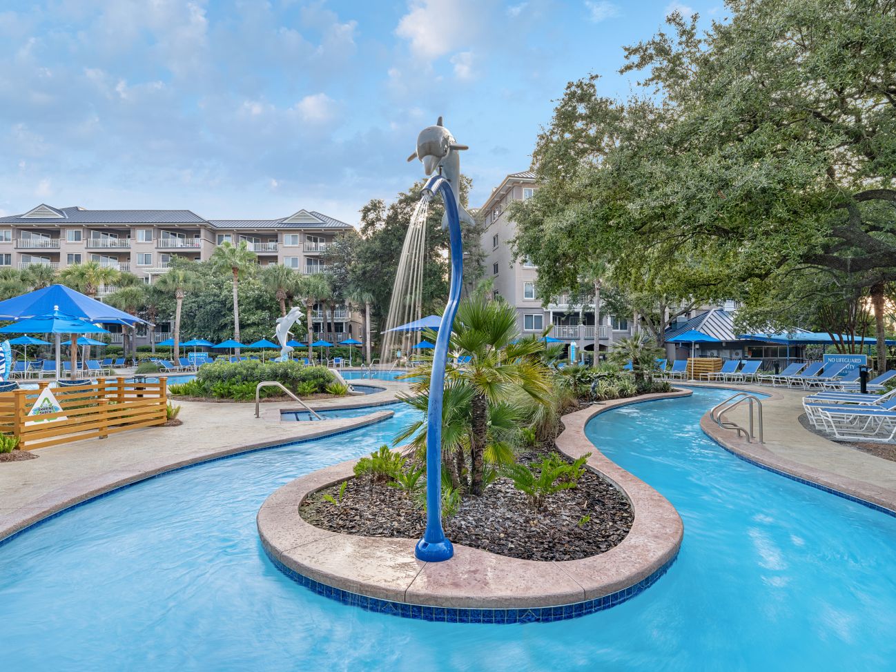 Dolphin Pool